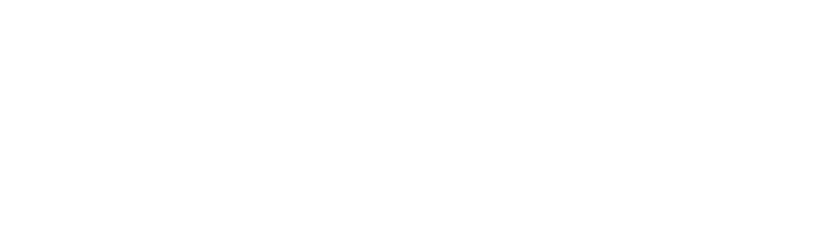 Bosla ERP an AI Business Guiding System